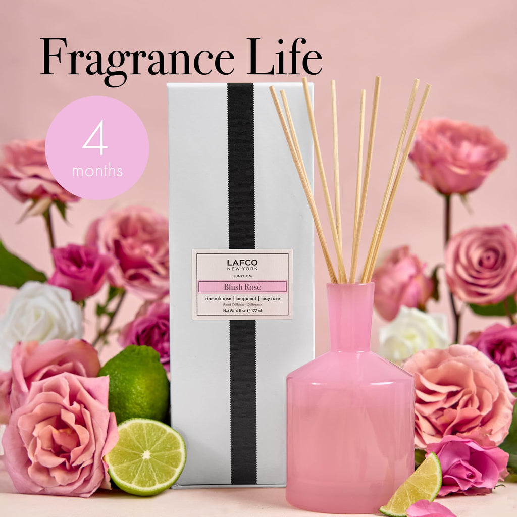 Luxury Reed Diffuser with Natural Wood Reeds Reusable Glass Vessel Long Lasting Home Fragrance Made in USA