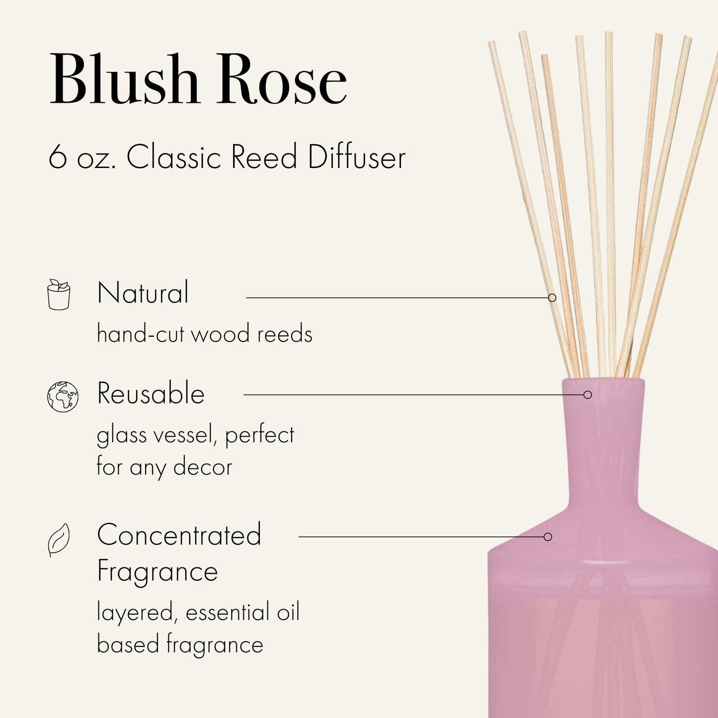 Luxury Reed Diffuser with Natural Wood Reeds Reusable Glass Vessel Long Lasting Home Fragrance Made in USA