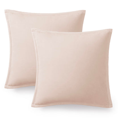 Ultra Soft Plush Decorative Pillow Set 2 Pack 20x20 Cozy Accent Cushions for Sofa Bed Living Room Decor