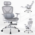 LuxErgo 7011 N2 Office Chair