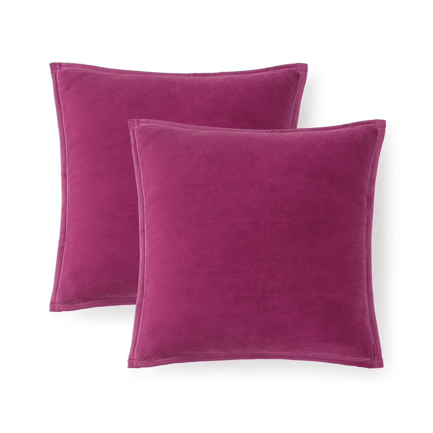 Ultra Soft Plush Decorative Pillow Set 2 Pack 20x20 Cozy Accent Cushions for Sofa Bed Living Room Decor