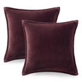 Ultra Soft Plush Decorative Pillow Set 2 Pack 20x20 Cozy Accent Cushions for Sofa Bed Living Room Decor