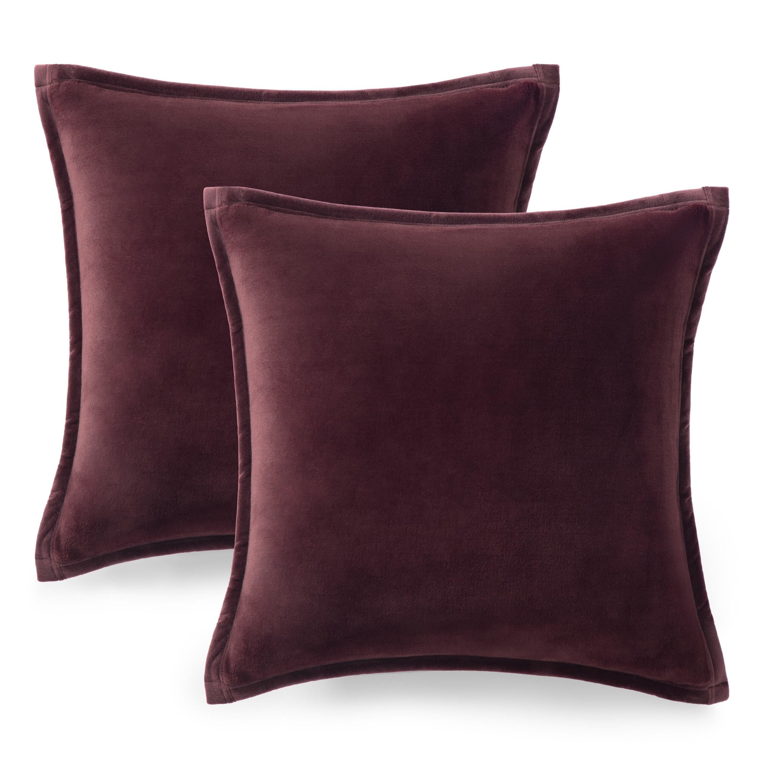 Ultra Soft Plush Decorative Pillow Set 2 Pack 20x20 Cozy Accent Cushions for Sofa Bed Living Room Decor