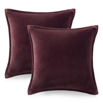 Ultra Soft Plush Decorative Pillow Set 2 Pack 20x20 Cozy Accent Cushions for Sofa Bed Living Room Decor