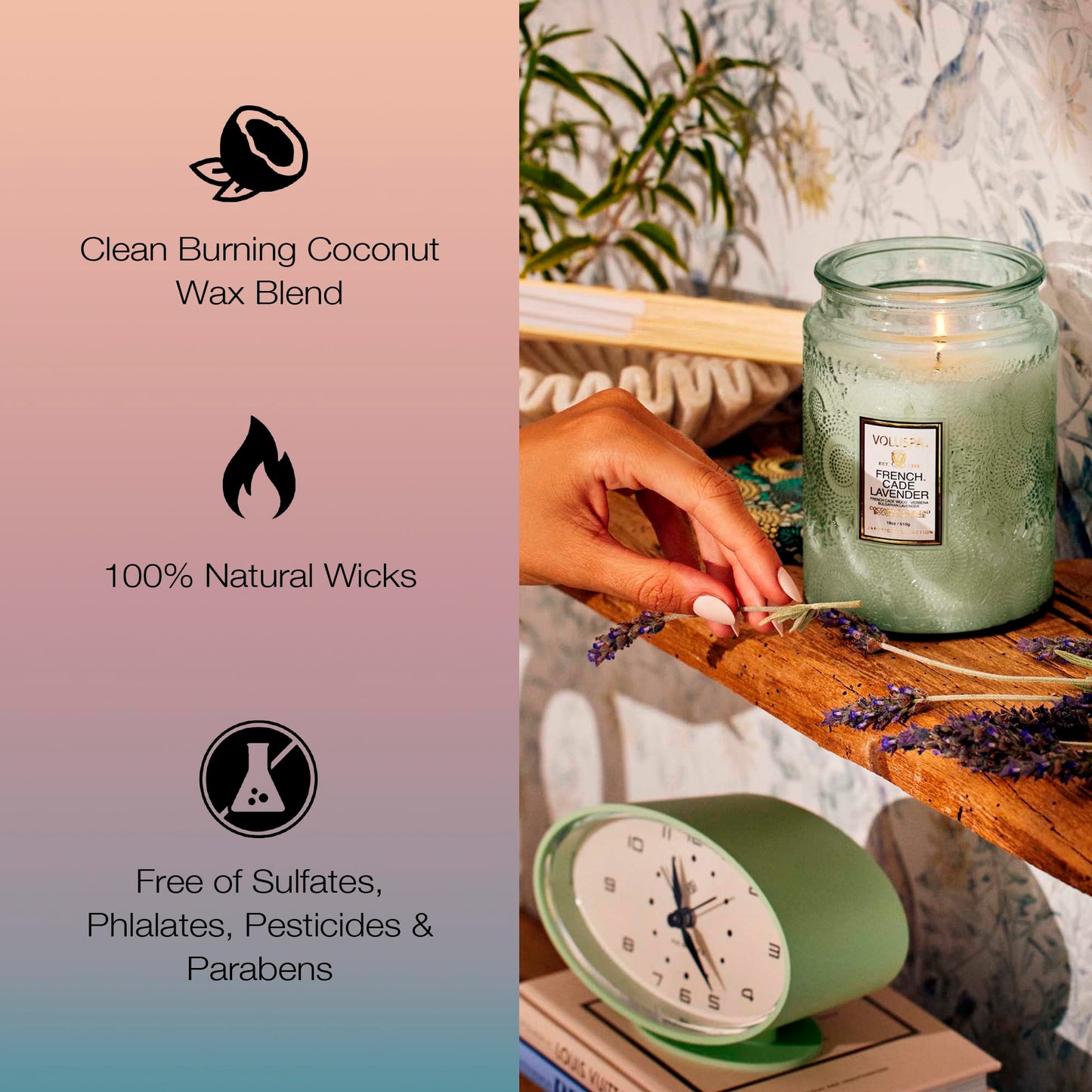 Luxury Scented Candle in Japonica Jar with Coconut Wax and Long Burn Time Vegan Home Decor