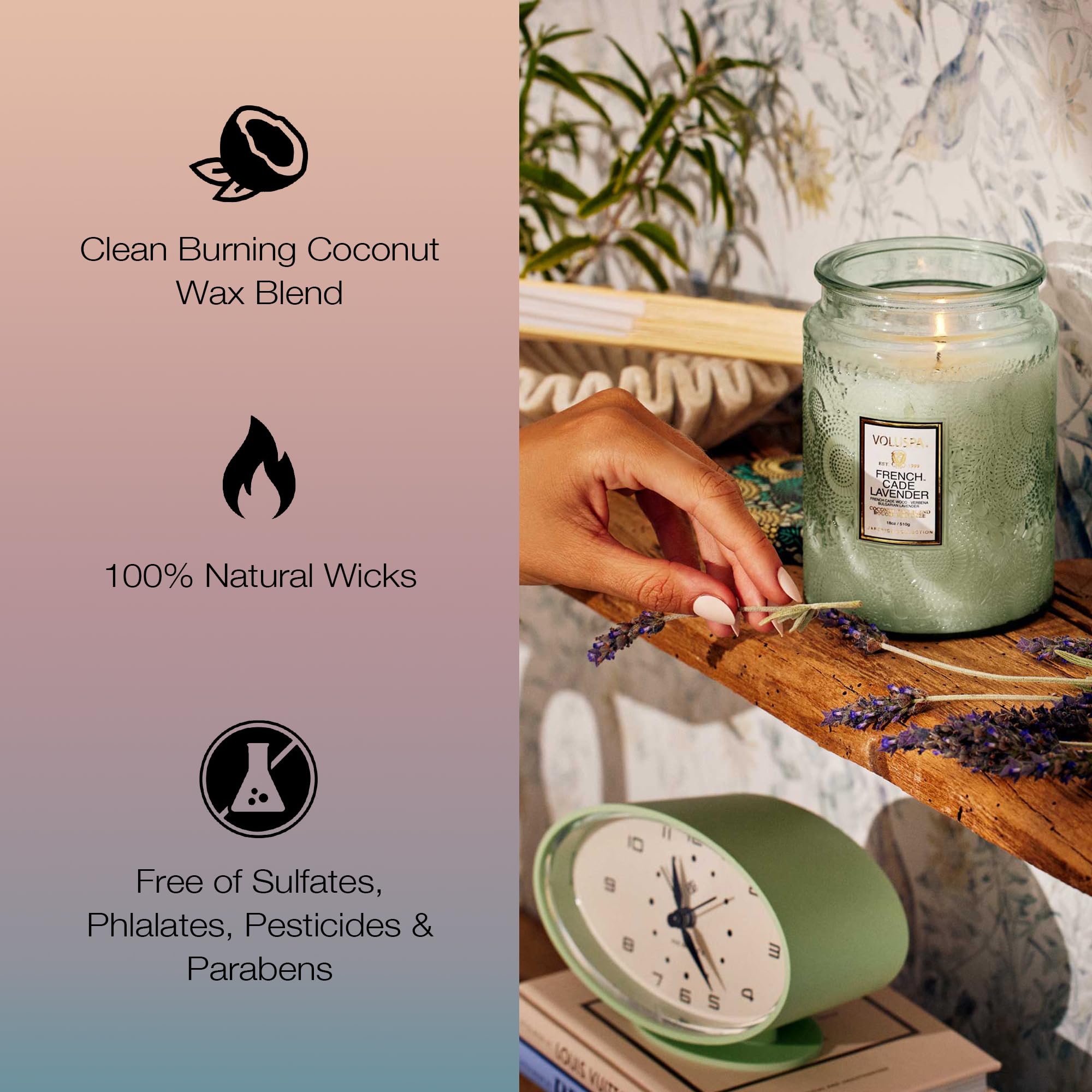 Luxury Scented Candle in Japonica Jar with Coconut Wax and Long Burn Time Vegan Home Decor