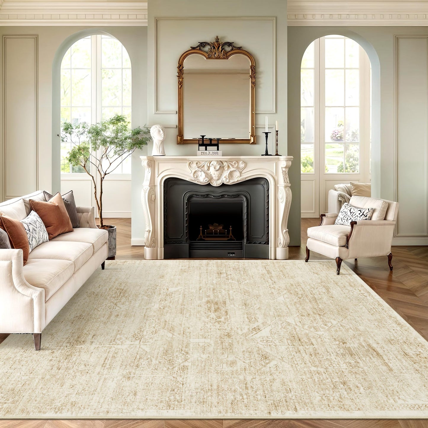 Soalmost Area Rugs for Living Room Dining Room Non-Slip Washable Rug