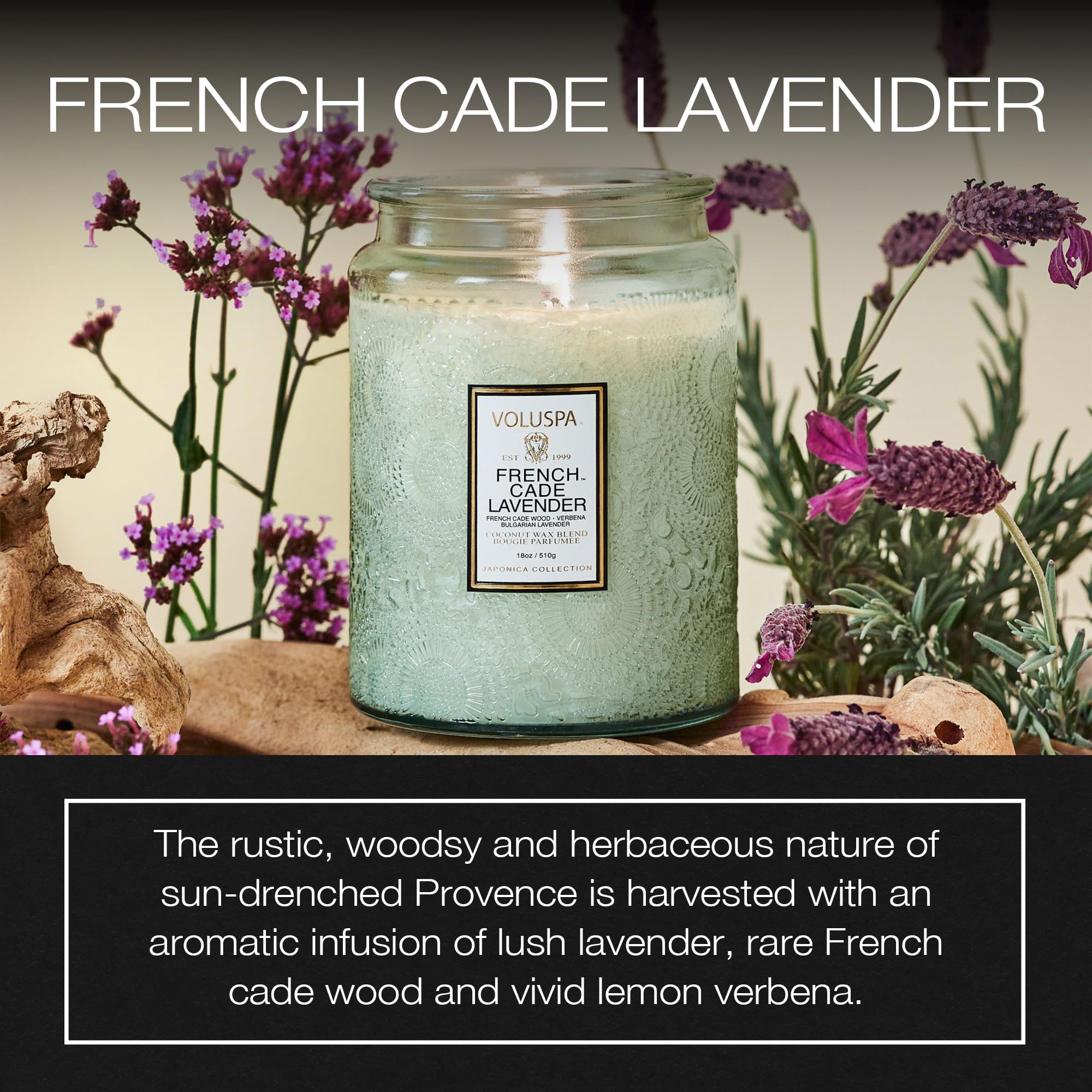 Luxury Scented Candle in Japonica Jar with Coconut Wax and Long Burn Time Vegan Home Decor
