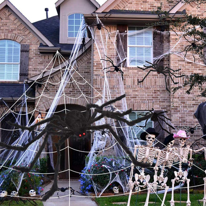 Giant Halloween Spider Web with 59 Inch Spider Indoor Outdoor Haunted House Yard Decoration