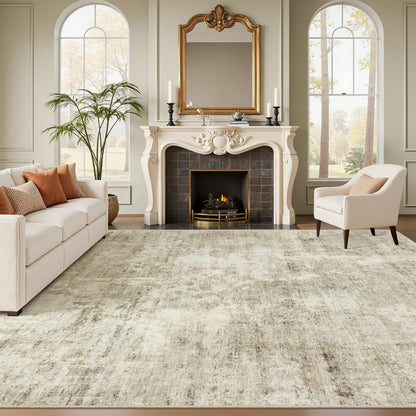 Soalmost Area Rugs for Living Room Dining Room Non-Slip Washable Rug