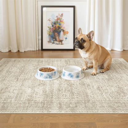 Soalmost Area Rugs for Living Room Dining Room Non-Slip Washable Rug