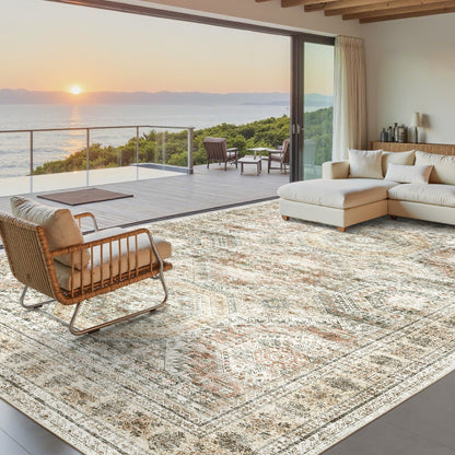 Soalmost Area Rugs for Living Room Dining Room Non-Slip Washable Rug