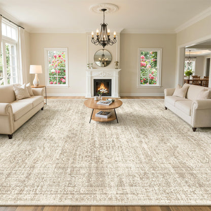 Soalmost Area Rugs for Living Room Dining Room Non-Slip Washable Rug