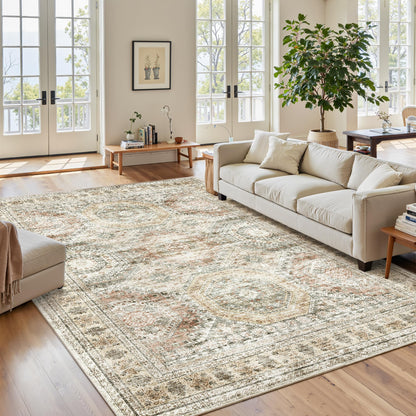 Soalmost Area Rugs for Living Room Dining Room Non-Slip Washable Rug