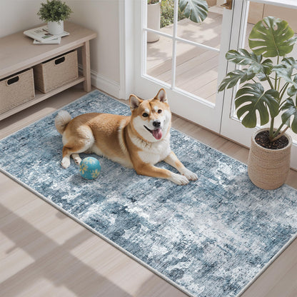 Soalmost Area Rugs for Living Room Dining Room Non-Slip Washable Rug