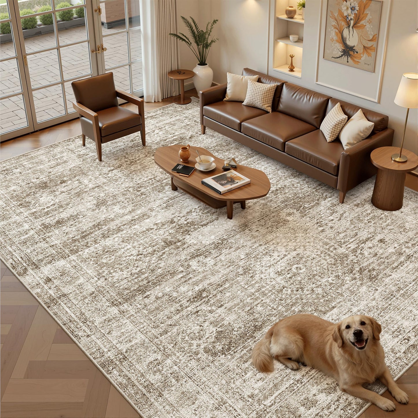 Soalmost Area Rugs for Living Room Dining Room Non-Slip Washable Rug