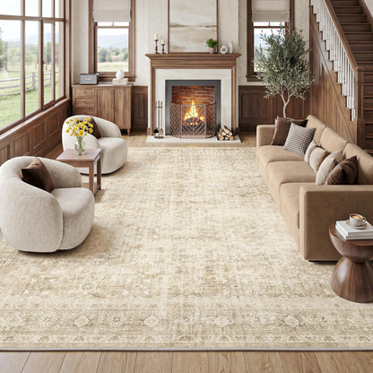 FMFUNCTEX Vintage Distressed Oriental Rug
