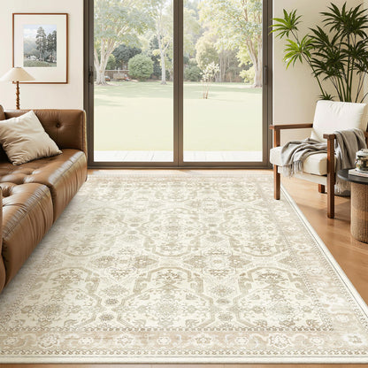 Soalmost Area Rugs for Living Room Dining Room Non-Slip Washable Rug