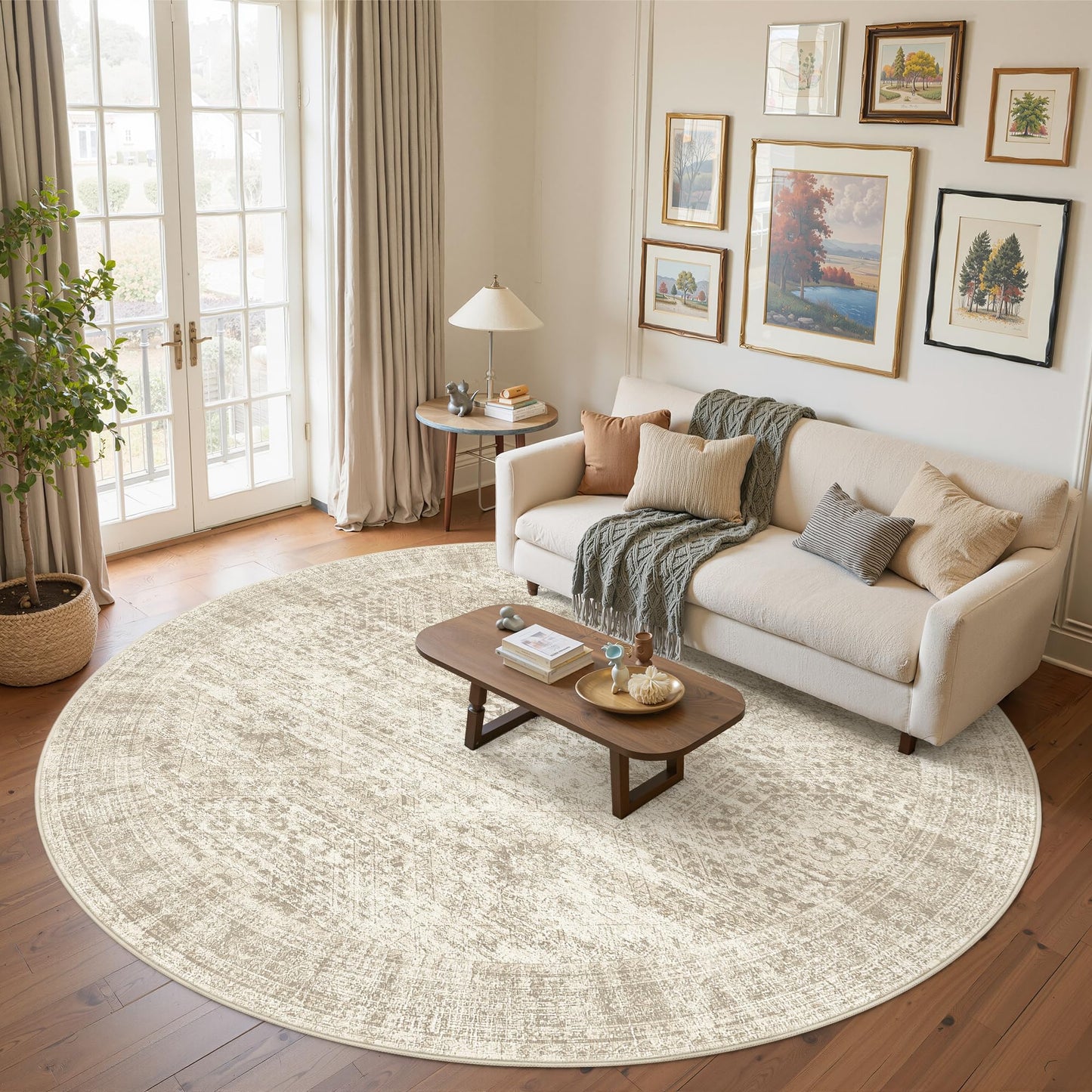 Soalmost Area Rugs for Living Room Dining Room Non-Slip Washable Rug