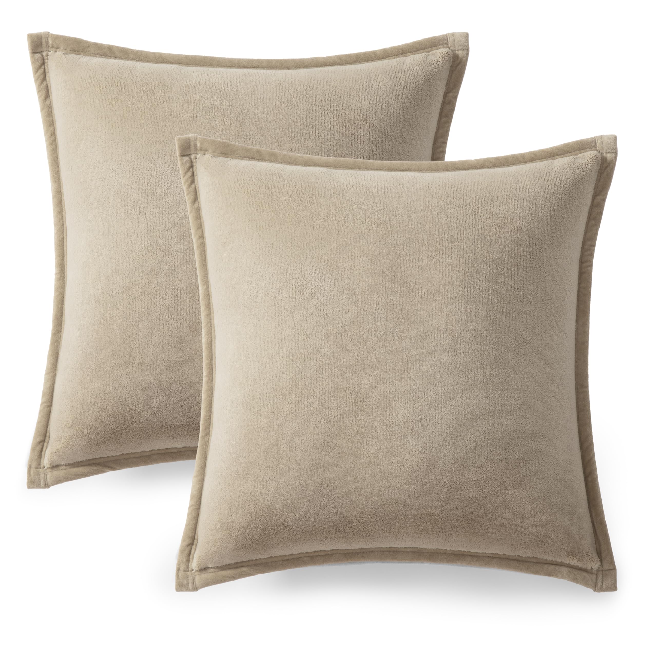 Ultra Soft Plush Decorative Pillow Set 2 Pack 20x20 Cozy Accent Cushions for Sofa Bed Living Room Decor