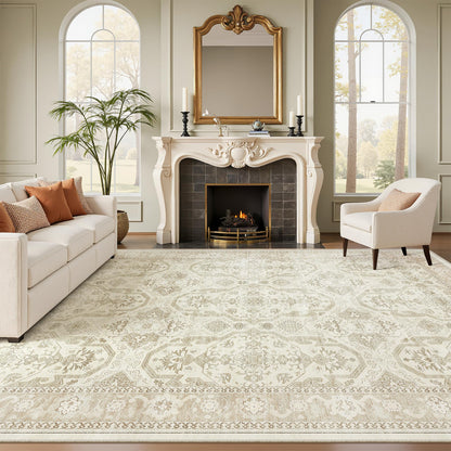 Soalmost Area Rugs for Living Room Dining Room Non-Slip Washable Rug