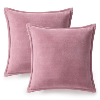 Ultra Soft Plush Decorative Pillow Set 2 Pack 20x20 Cozy Accent Cushions for Sofa Bed Living Room Decor