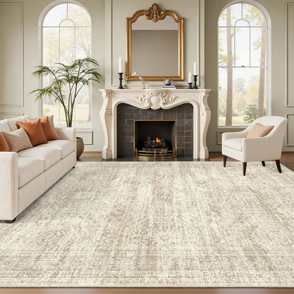Soalmost Area Rugs for Living Room Dining Room Non-Slip Washable Rug