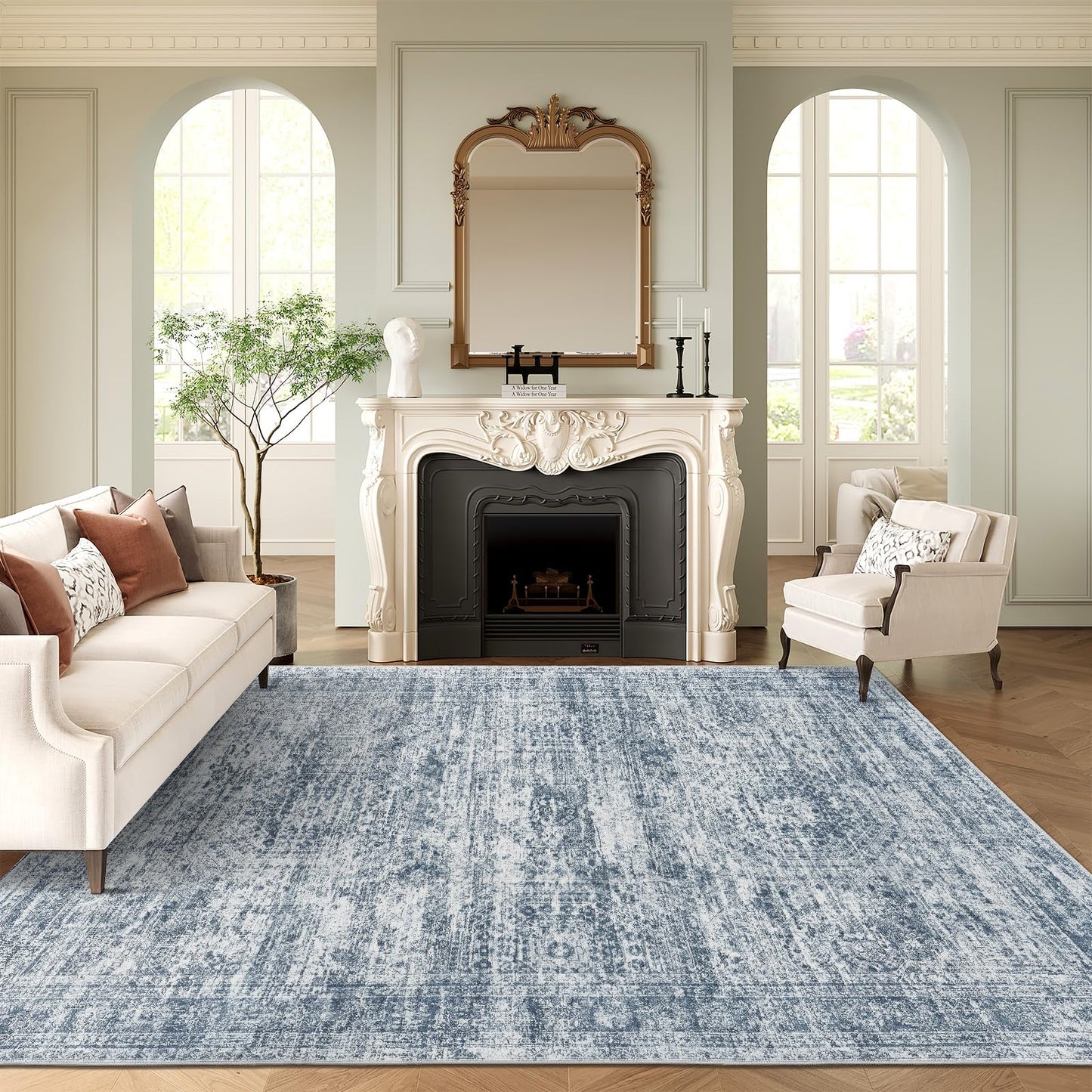 Soalmost Area Rugs for Living Room Dining Room Non-Slip Washable Rug