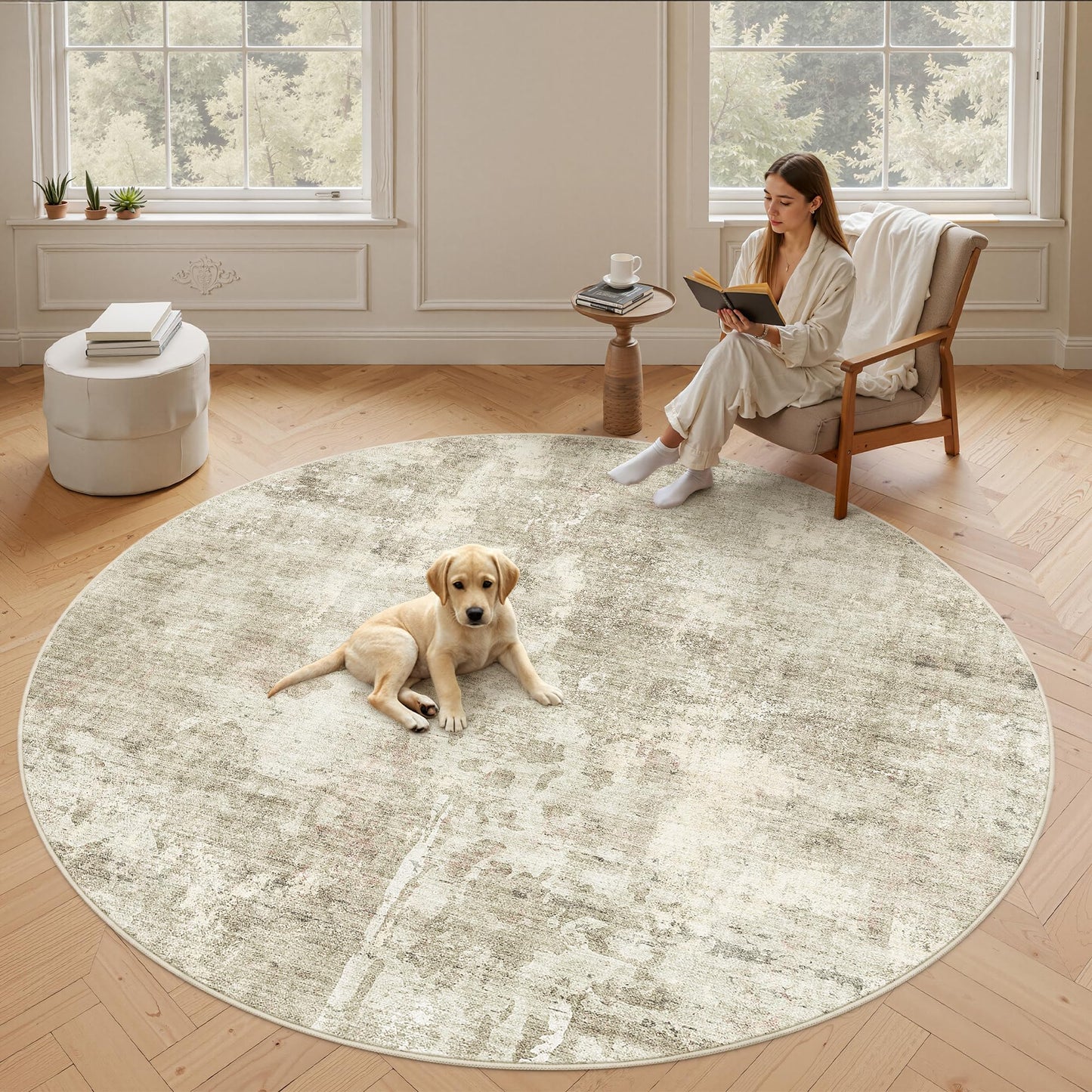 Soalmost Area Rugs for Living Room Dining Room Non-Slip Washable Rug