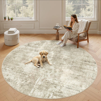 Soalmost Area Rugs for Living Room Dining Room Non-Slip Washable Rug