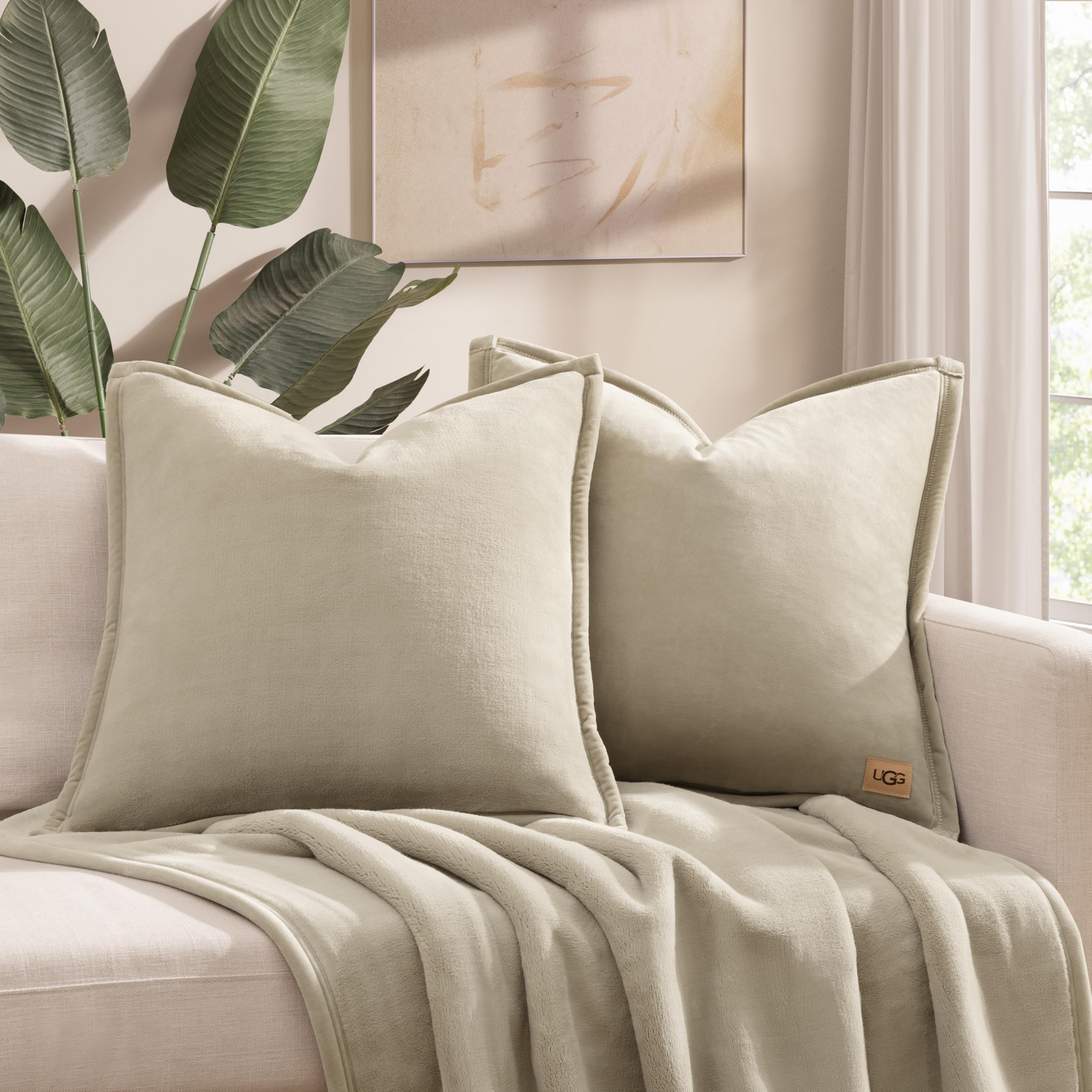 Ultra Soft Plush Decorative Pillow Set 2 Pack 20x20 Cozy Accent Cushions for Sofa Bed Living Room Decor